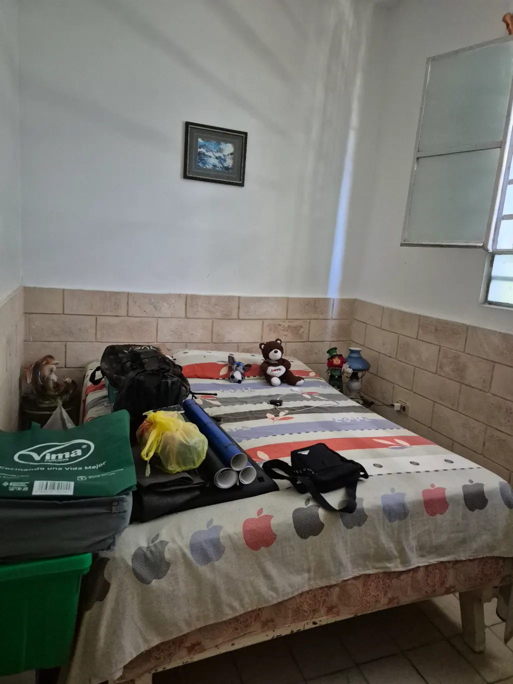 Vista de la propiedad 9