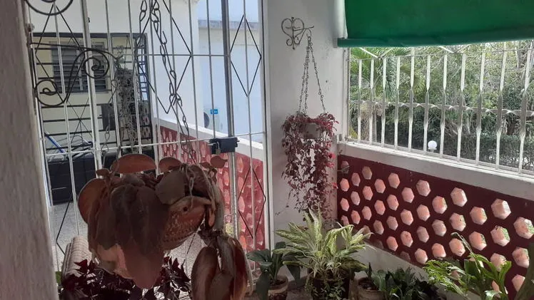 Vista de la propiedad 6