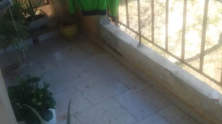 Vista de la propiedad 8