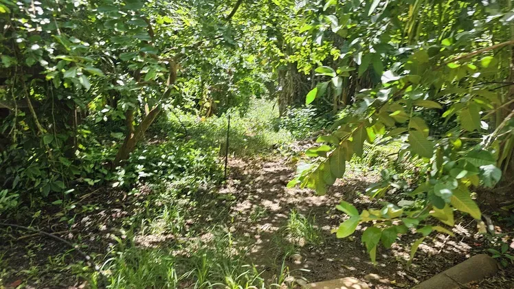 Vista de la propiedad 7