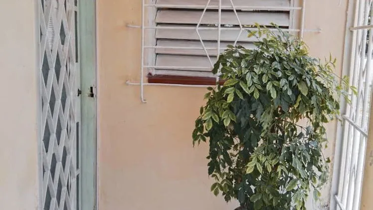 Vista de la propiedad 3