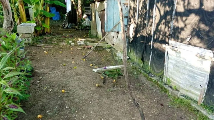 Vista de la propiedad 2