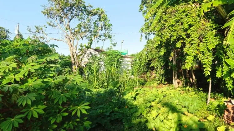 Vista de la propiedad 6