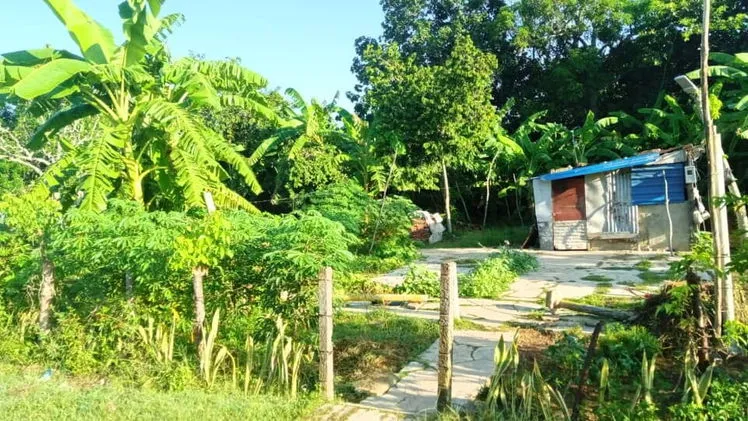 Vista de la propiedad 7