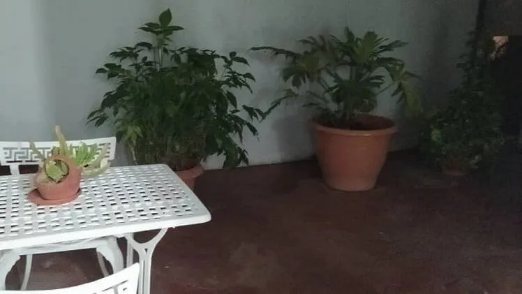 Vista de la propiedad 2