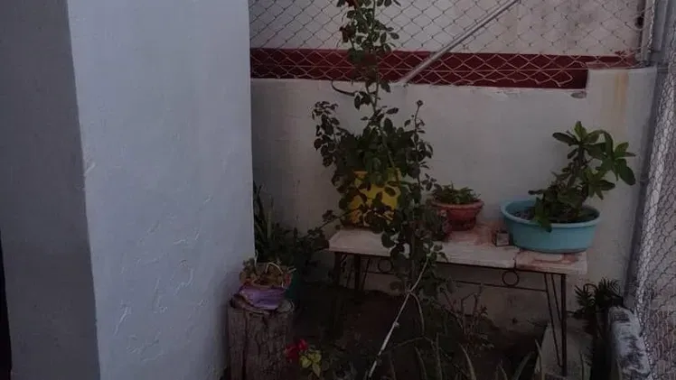 Vista de la propiedad 3