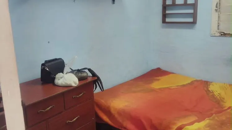 Vista de la propiedad 7