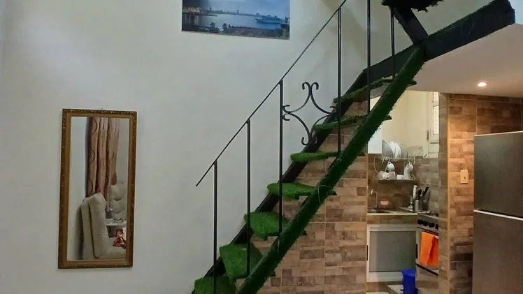Vista de la propiedad 10