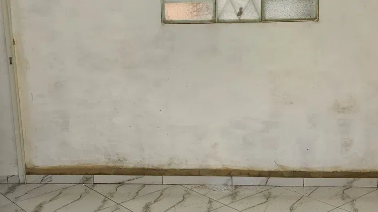 Vista de la propiedad 7