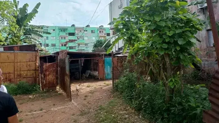 Vista de la propiedad 5