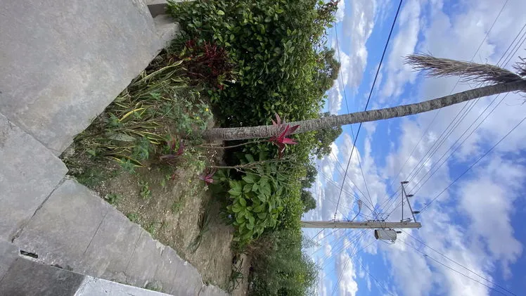 Property view 10