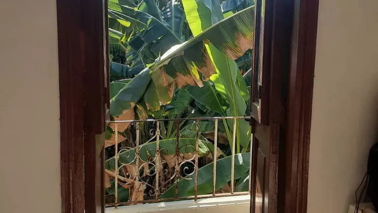 Property view 8