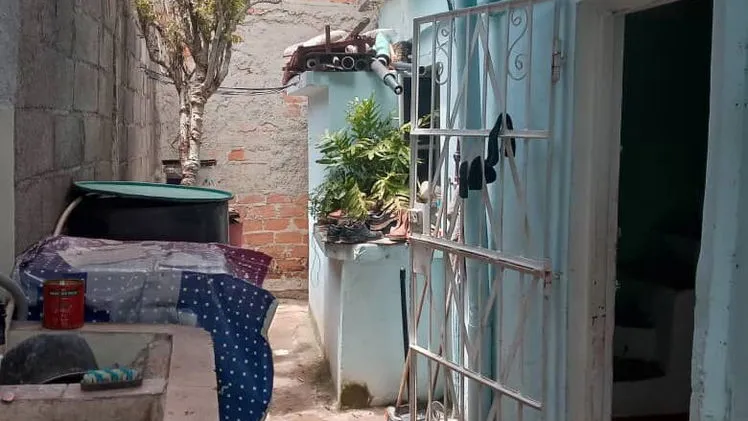 Vista de la propiedad 6
