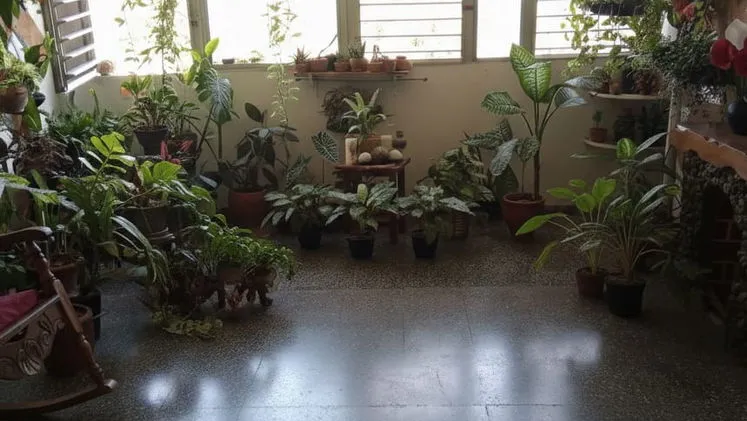 Vista de la propiedad 9