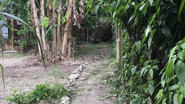 Property view 4