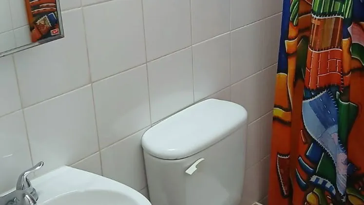 Vista de la propiedad 6