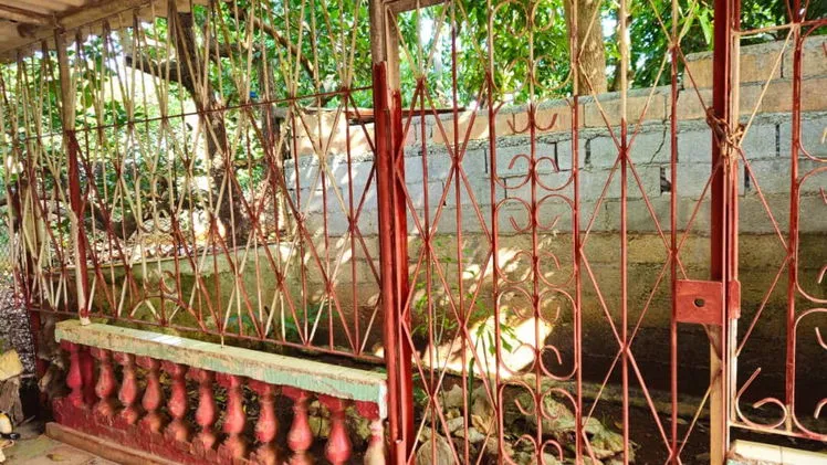 Property view 2
