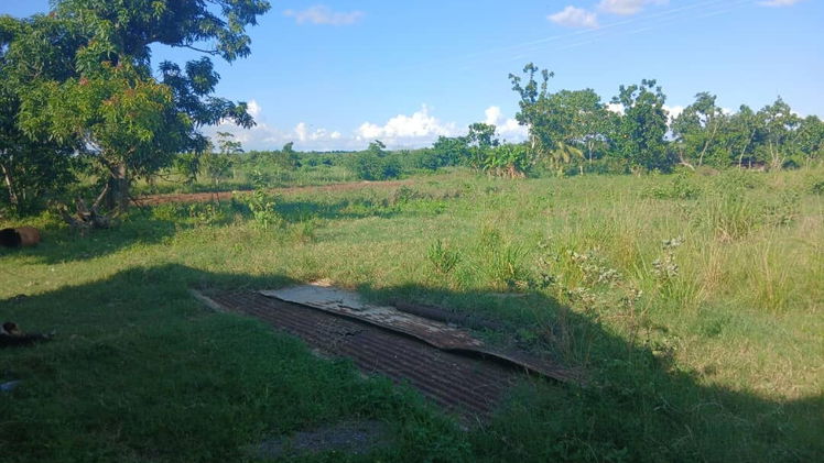 Selling Farm in Artemisa