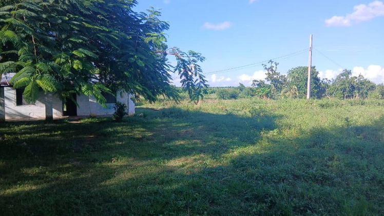 Property view 2