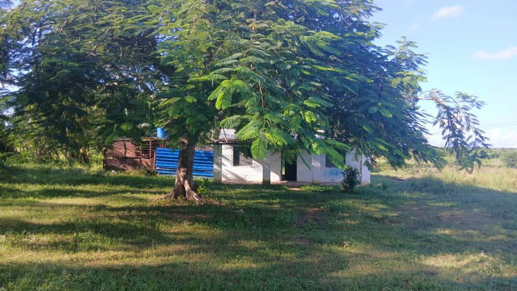 Property view 3