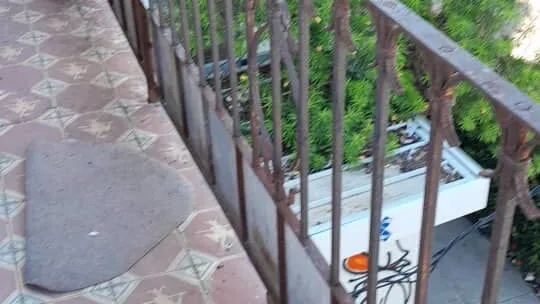 Vista de la propiedad 5