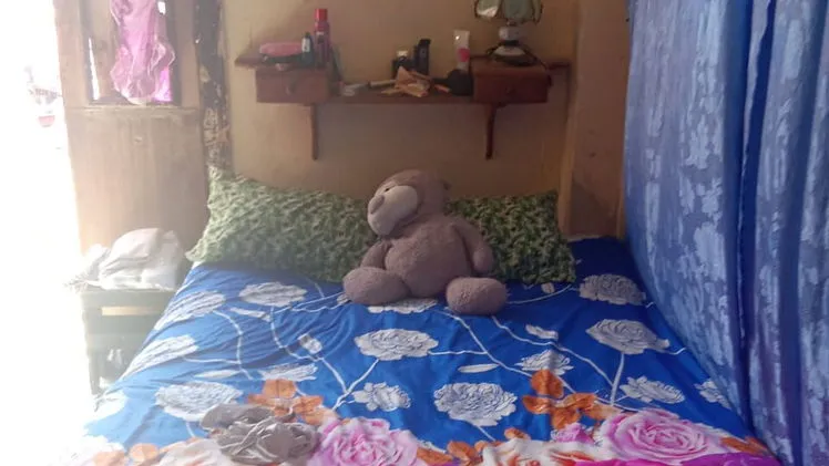 Vista de la propiedad 10