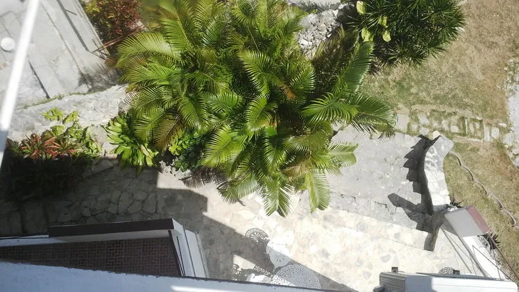 Vista de la propiedad 7