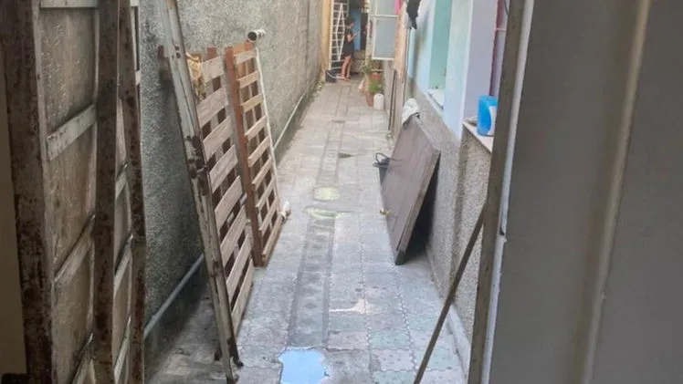 Vista de la propiedad 7