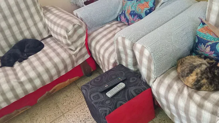Vista de la propiedad 8