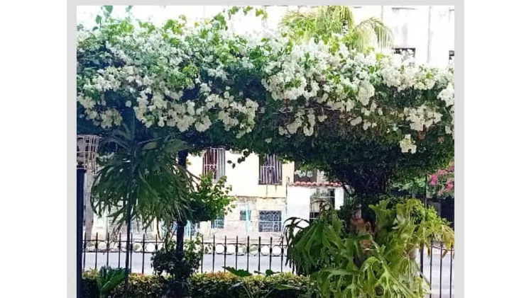 Vista de la propiedad 3