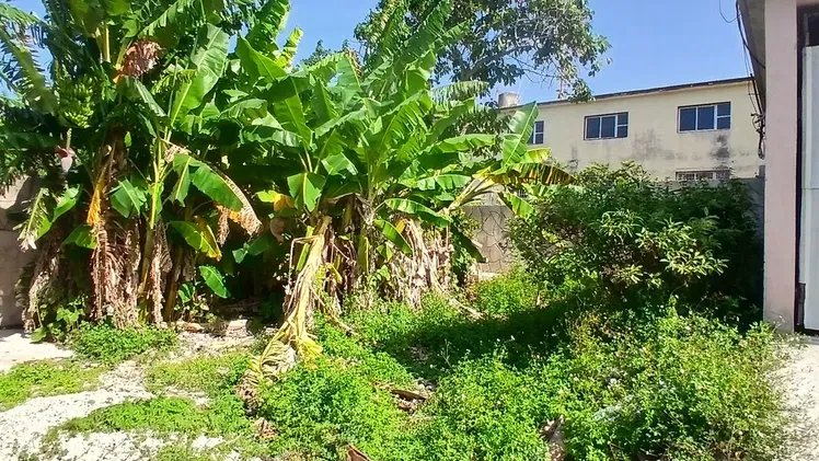 Vista de la propiedad 2