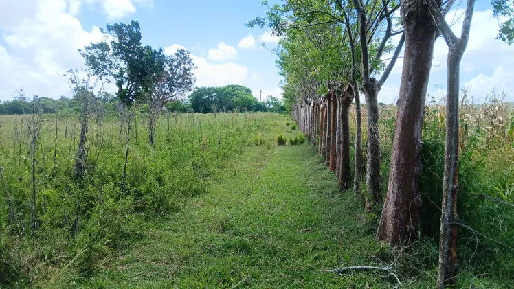 Vista de la propiedad 7