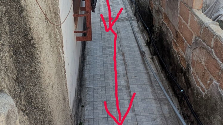 Vista de la propiedad 7