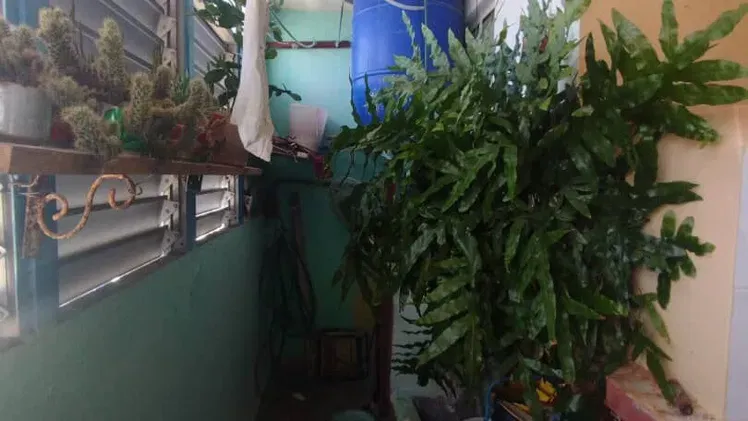 Vista de la propiedad 2