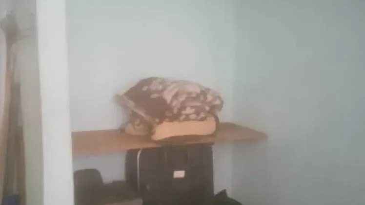 Vista de la propiedad 3