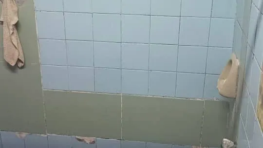 Vista de la propiedad 8