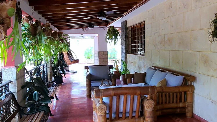 Property view 8