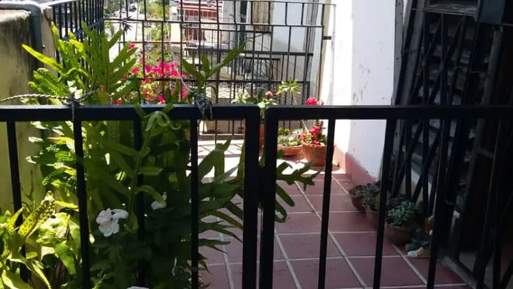 Vista de la propiedad 2