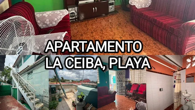 Property main view