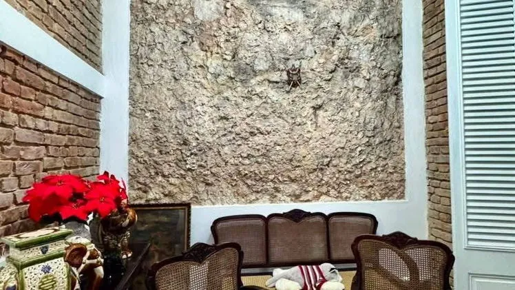 Vista de la propiedad 3