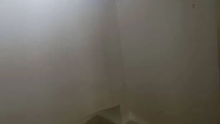Vista de la propiedad 3