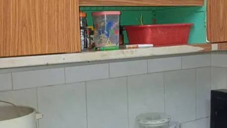 Vista de la propiedad 9