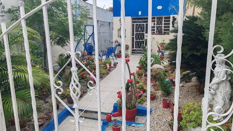 Vista de la propiedad 2