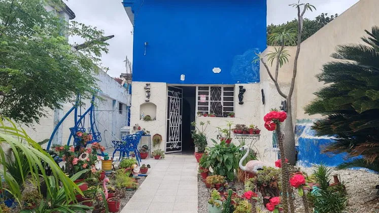 Vista de la propiedad 3