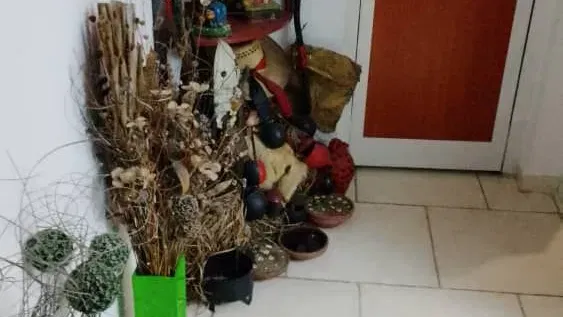 Vista de la propiedad 3