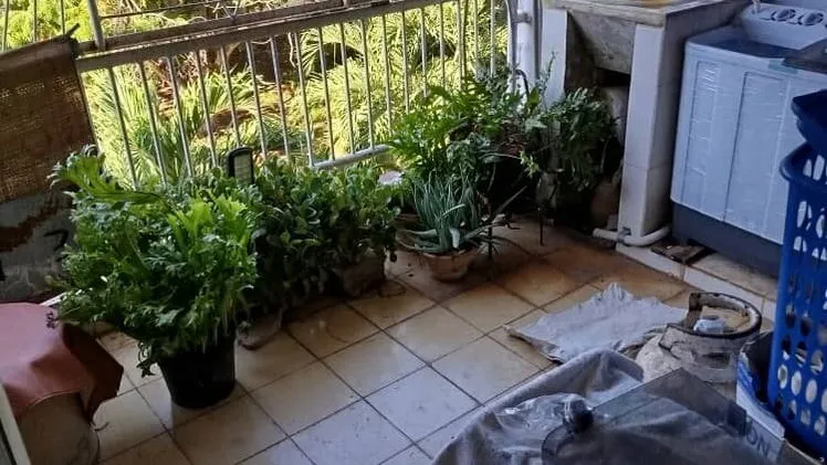 Vista de la propiedad 4