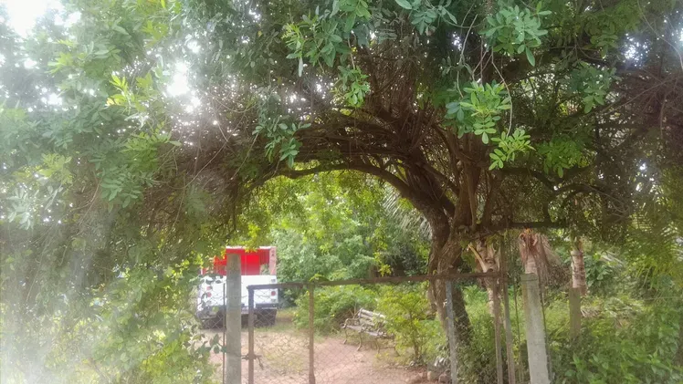 Vista de la propiedad 6