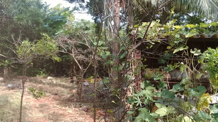 Vista de la propiedad 8