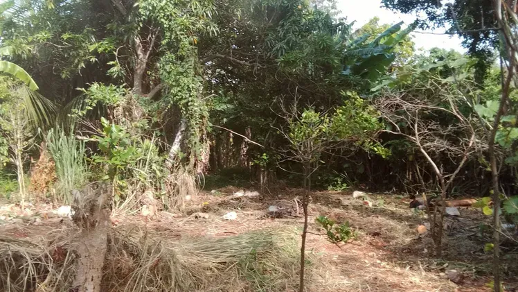Vista de la propiedad 10