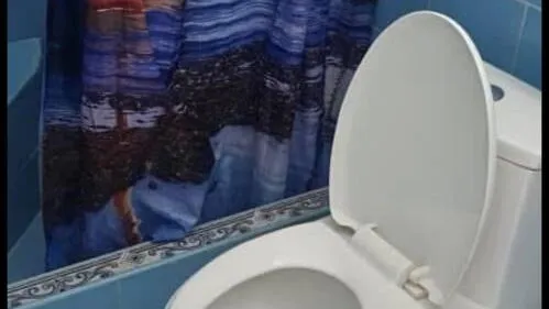 Vista de la propiedad 7